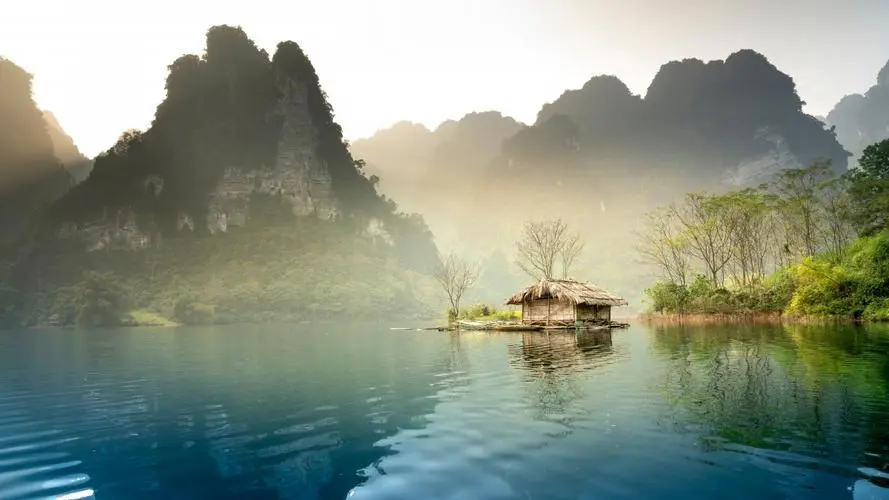 高效全自动高端